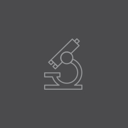 Online Marketing Phase: Analysis